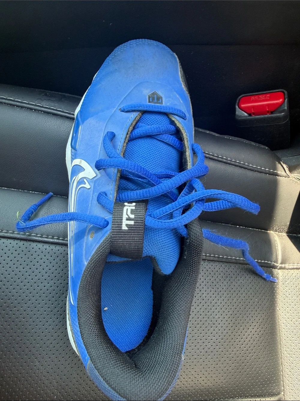 Nike Royal Blue Baseball Cleat with White Swoosh
